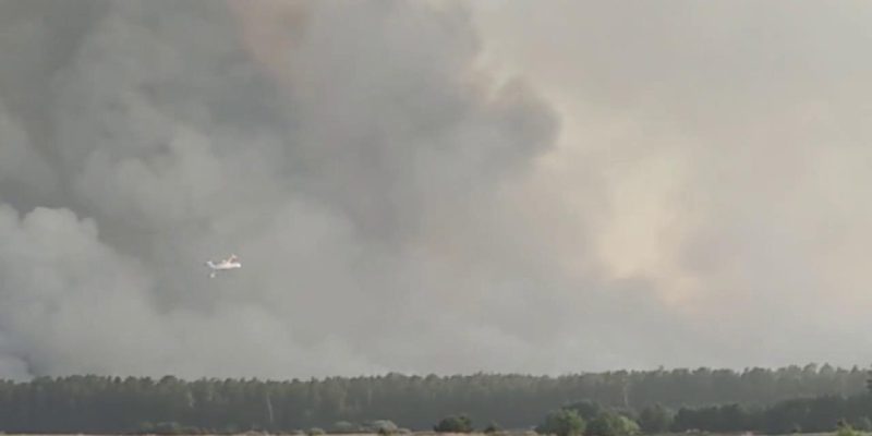 Rusya’da orman yangınlarına müdahale sürüyor