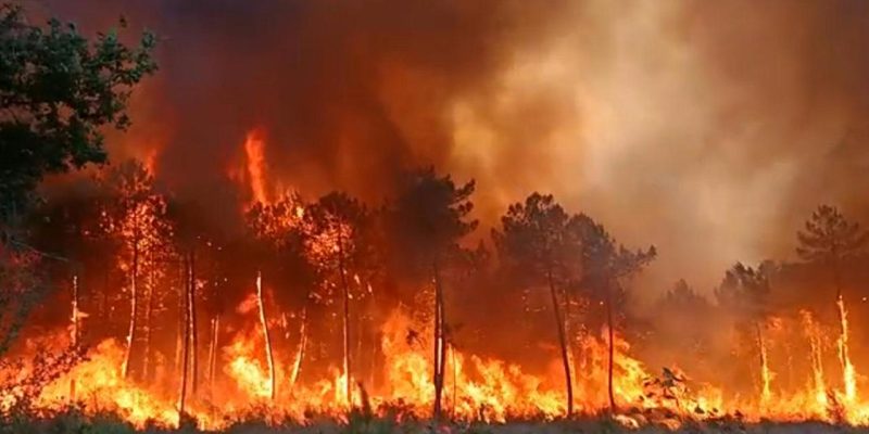 Fransa'da yangın: 7 bin hektardan fazla alan kül oldu