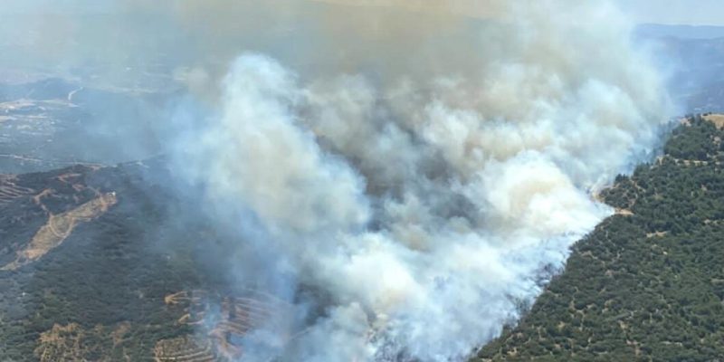 İzmir'de iki ilçede orman yangını