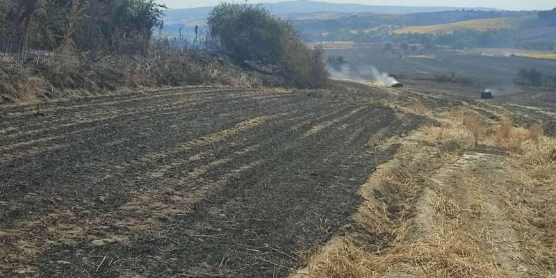 Tekirdağ'da 380 dönüm buğday tarlası kül oldu