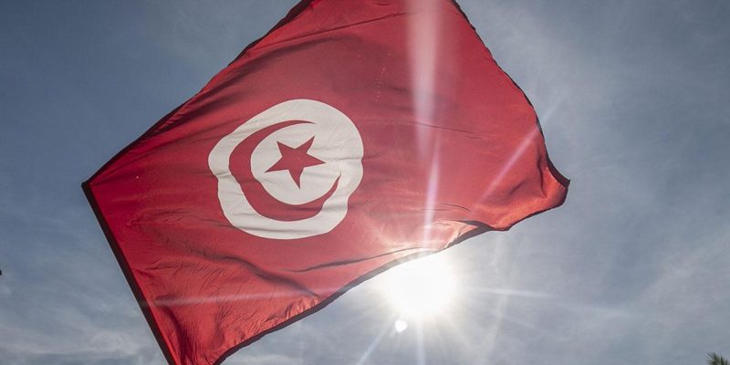 Tunus'ta yeni anayasa taslağı kabul edildi