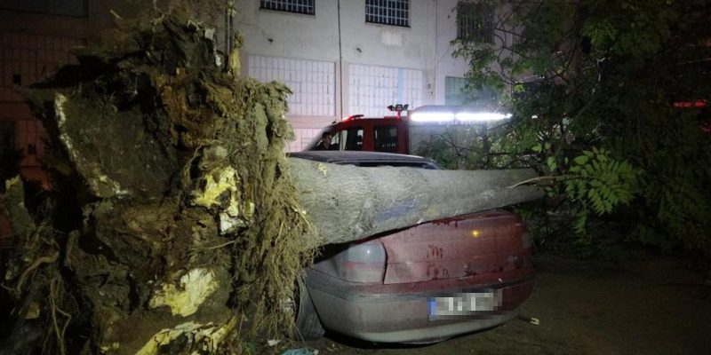 Bursa'da lodos: Ağaç araçların üstüne devrildi