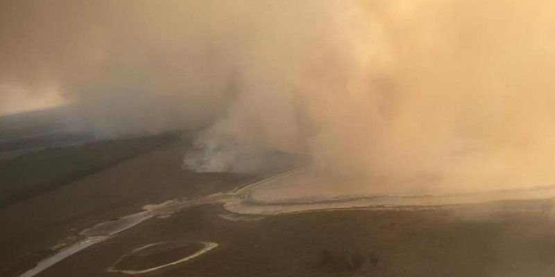 Kazakistan’da orman yangını: 100'den fazla ev zarar gördü