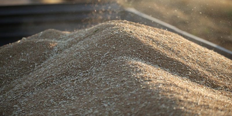 Ukrayna'dan Kenya'ya 25 bin ton buğday desteği
